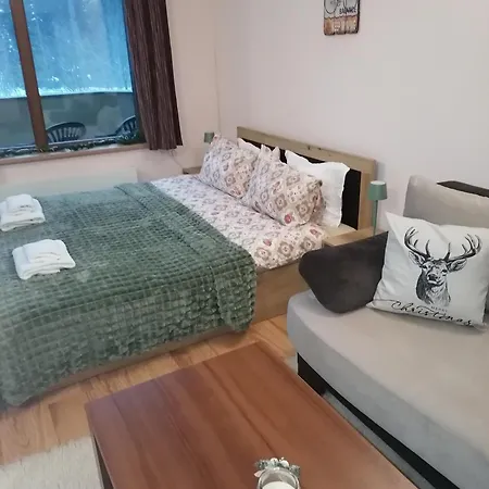 Apartment Evrika 21 Pamporovo