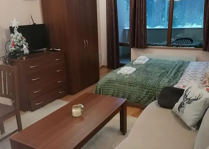 Evrika 21 Апартамент Пампорово