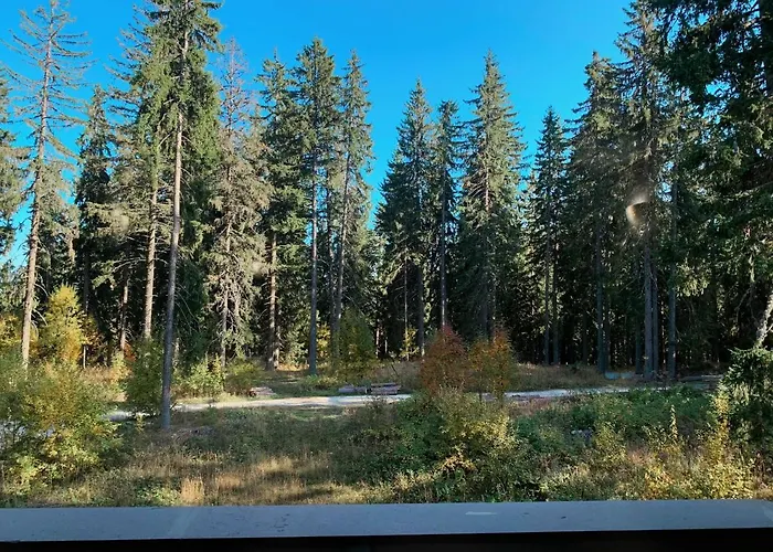 Evrika 21 * Пампорово